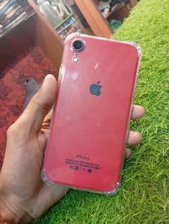 iphone XR 64 GB