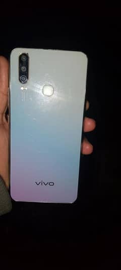 vivo