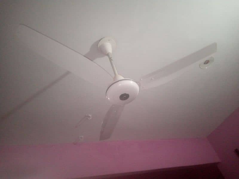 New Fan For Sale 0