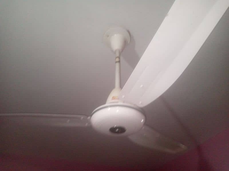 New Fan For Sale 2