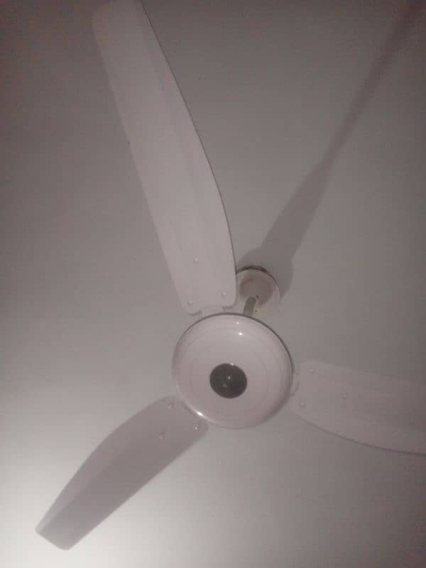 New Fan For Sale 4