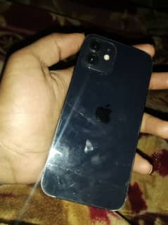 I phone 12 non. pta jv