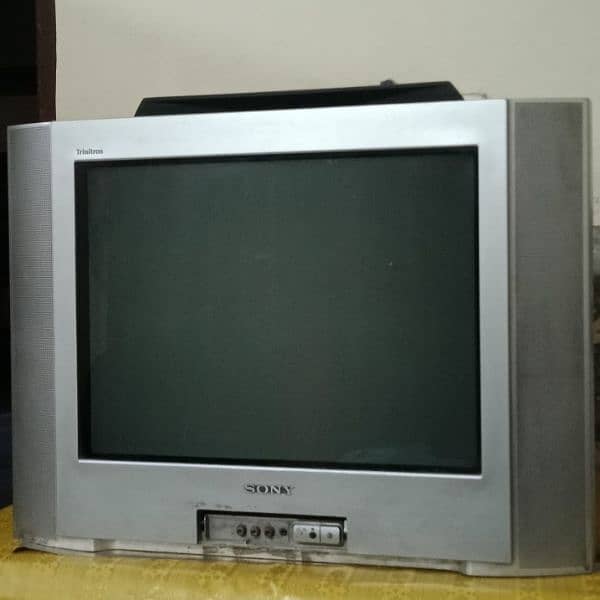 Television 1