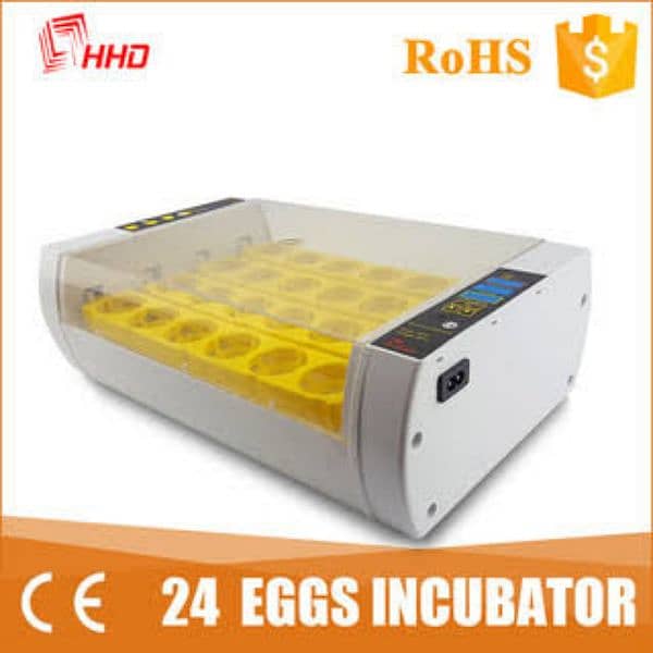 50 Chicks Brooder for all birds chicks 5