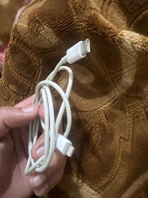 iPhone cable 1