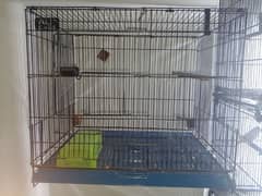 Birds folding cage