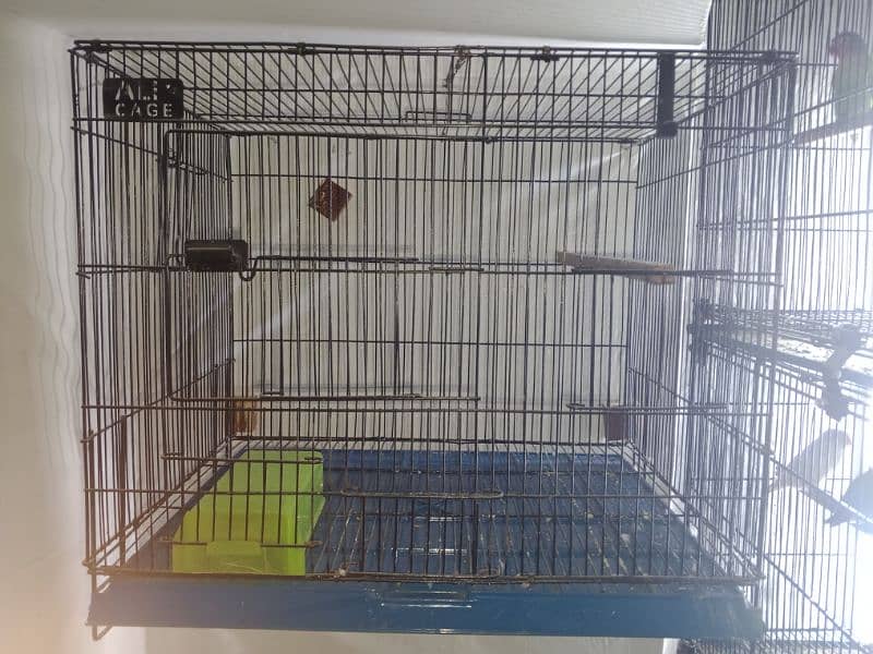 Birds folding cage 1