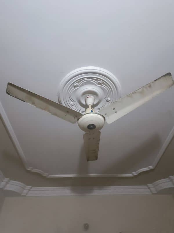 celling Royal Fan Pure Copper 1