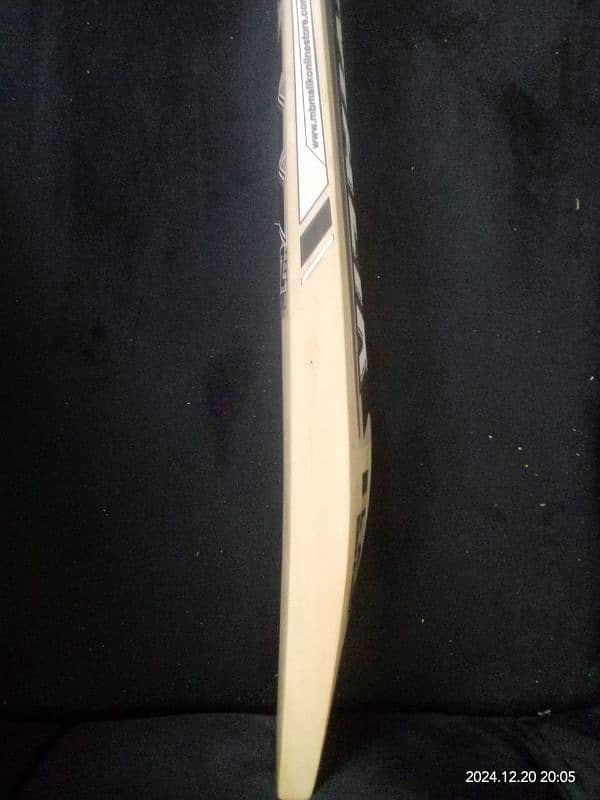 Cricket Bat 3