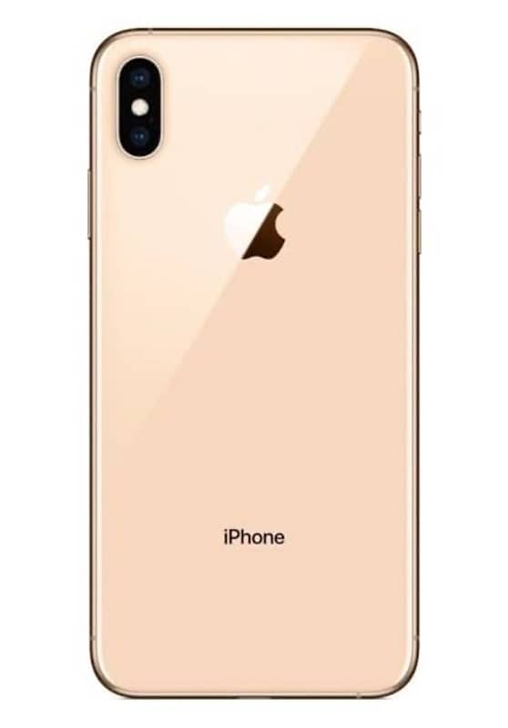 xs max dual pta golden 10/10 condition 0