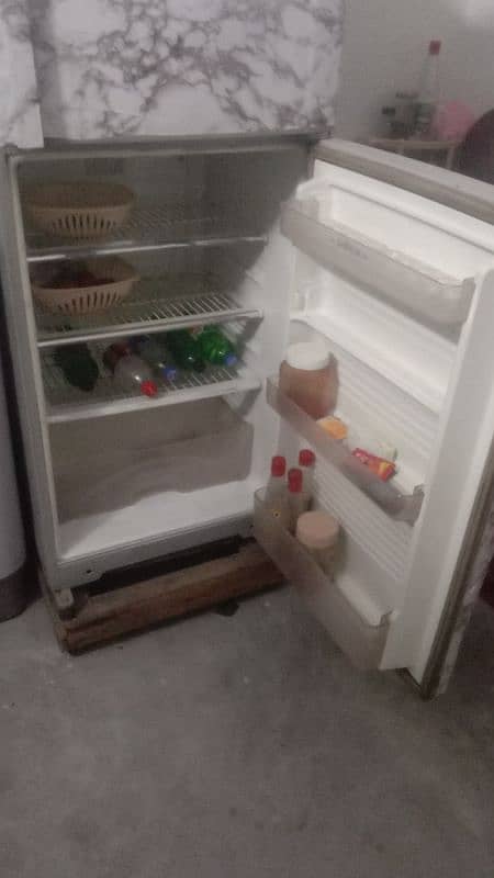 Dalwance fridge medium size 1