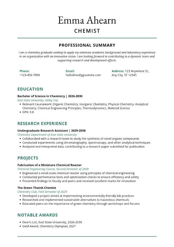 Let's create a professional CV for you 3