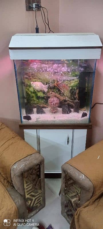 Almost new fish aquarium (12×24×24)cm 1