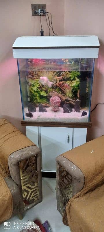 Almost new fish aquarium (12×24×24)cm 2