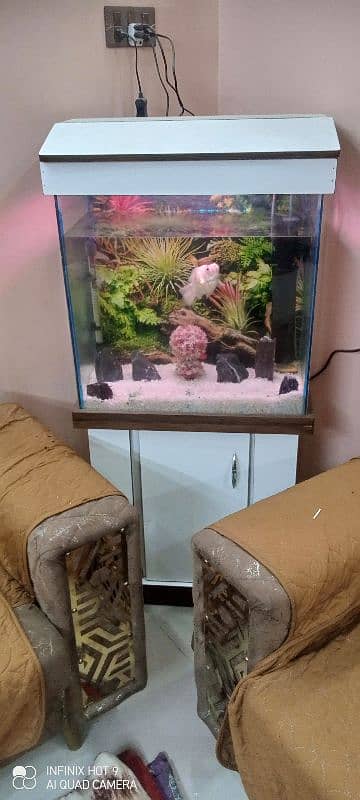 Almost new fish aquarium (12×24×24)cm 5