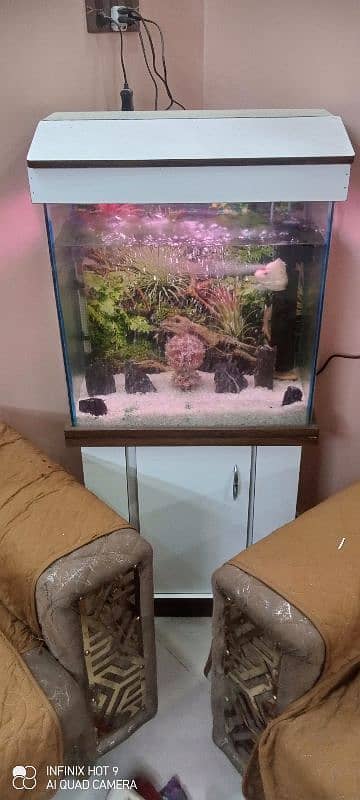 Almost new fish aquarium (12×24×24)cm 6