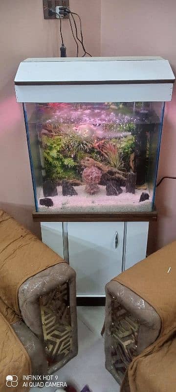 Almost new fish aquarium (12×24×24)cm 7