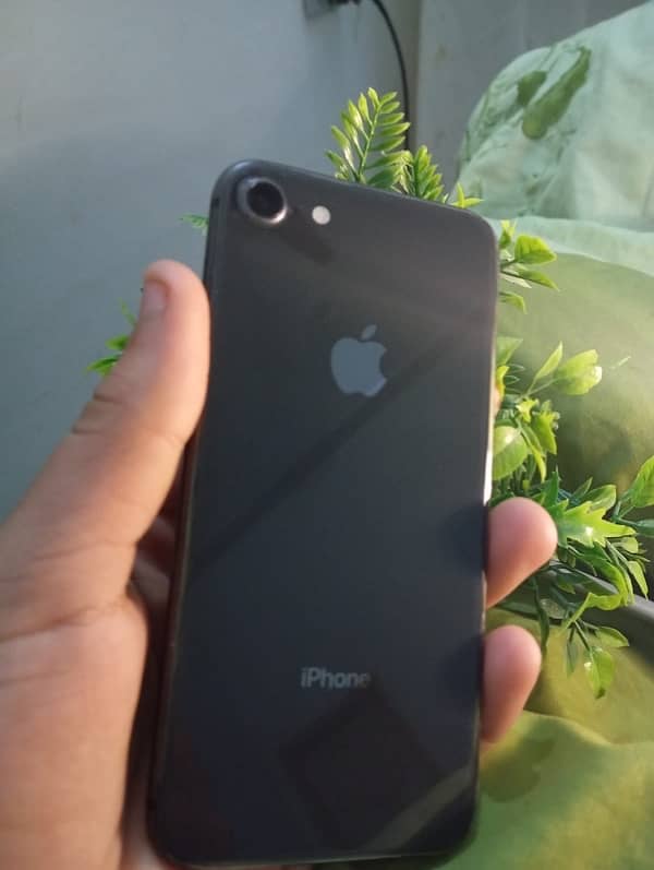 iPhone 8 factor unlock fully original phone 3