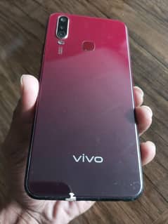 vivo