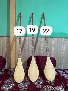 Sitar Chitrali Professional Sitars best for beginners and professional