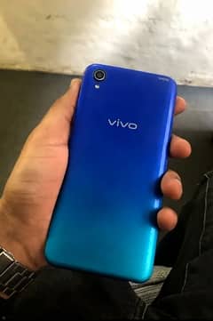 vivo