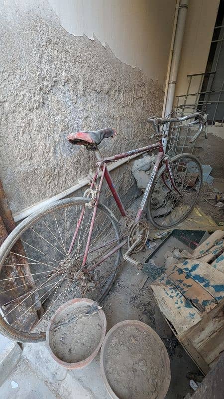 Imported Bicycle 1