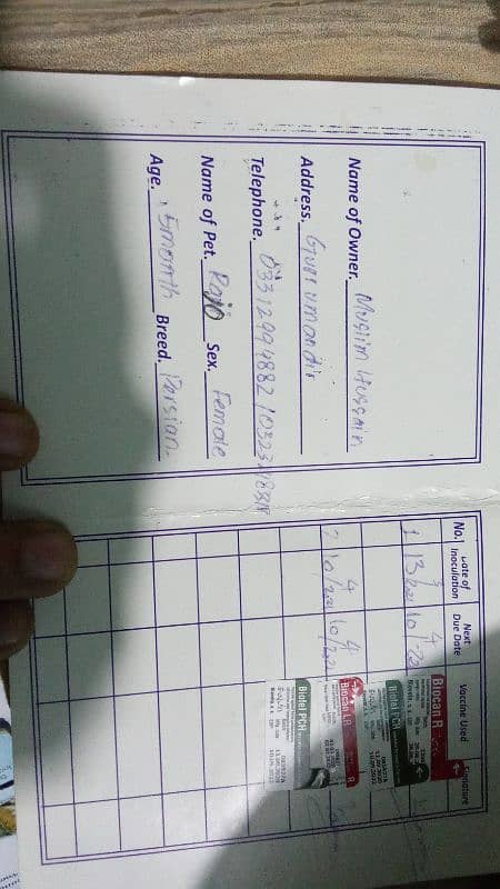 male persion double coat vaccination card available hai 16