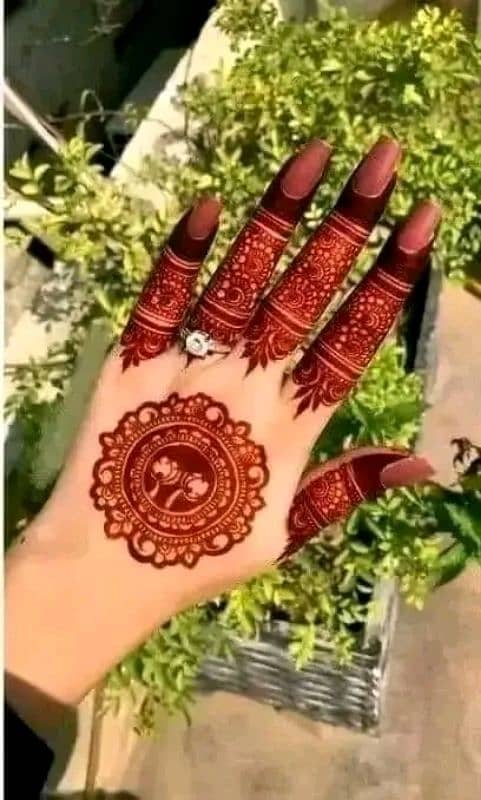 Meena Bazar Special Bridal Cone Mehndi 3