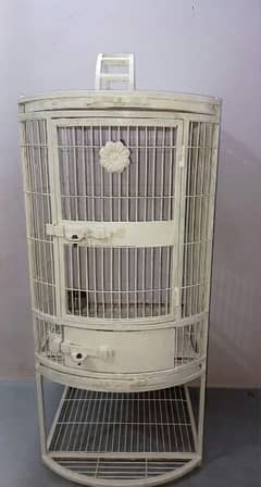 Exotic Birds Cage