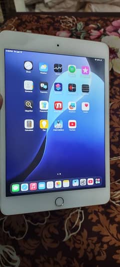 Ipad Mini 5