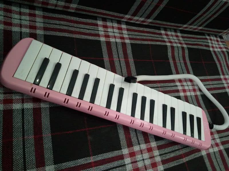 Melodica 37 keys 2