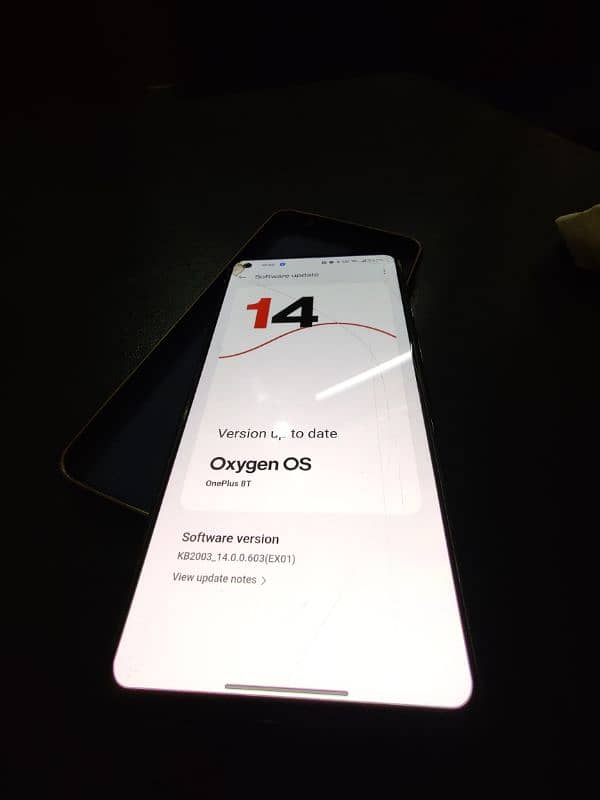 one plus 8 and 8T 19