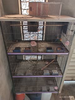 Lovebirds and 6 portions cage