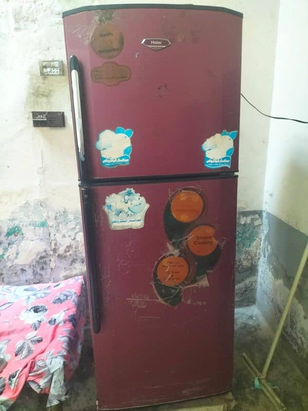 hair refrigerator 1