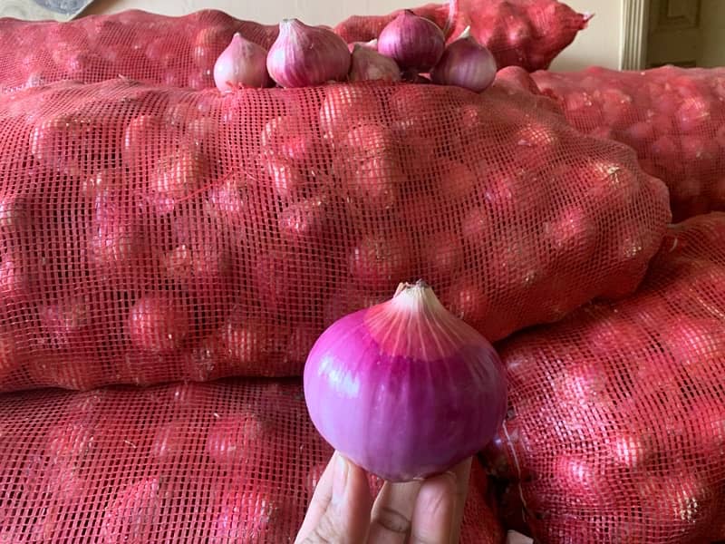 Best Quality Onion | First Select And Then Buy 0