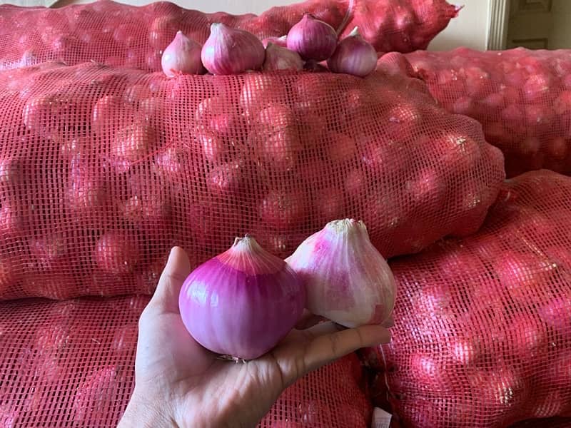 Best Quality Onion | First Select And Then Buy 2