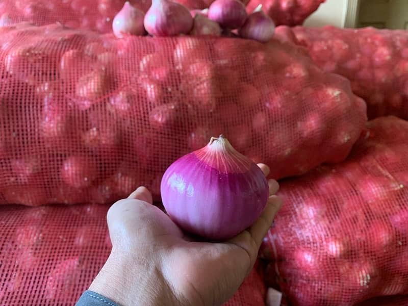 Best Quality Onion | First Select And Then Buy 3