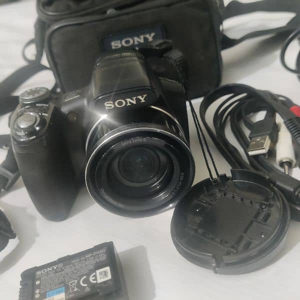 Sony Cyber-Shot 20x  DSC-HX1 0