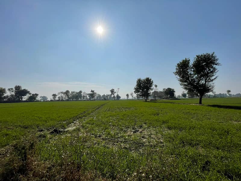 400 Kanal Agricultural Land Available For Sale In Haroonabad Bahawalnagar Road 1