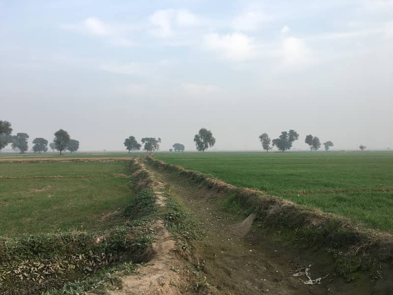 400 Kanal Agricultural Land Available For Sale In Haroonabad Bahawalnagar Road 2