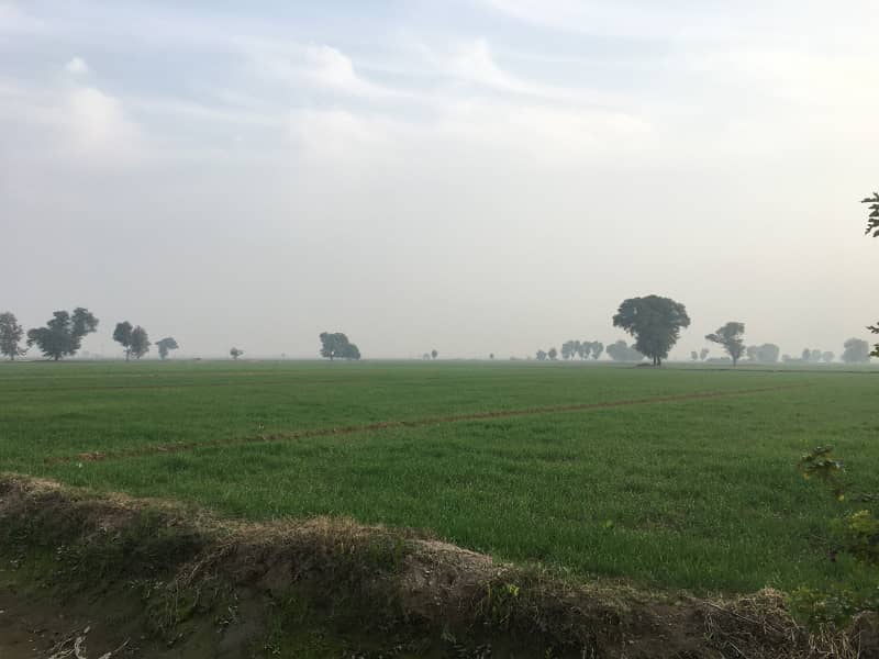 400 Kanal Agricultural Land Available For Sale In Haroonabad Bahawalnagar Road 3