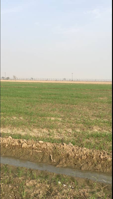 400 Kanal Agricultural Land Available For Sale In Haroonabad Bahawalnagar Road 5