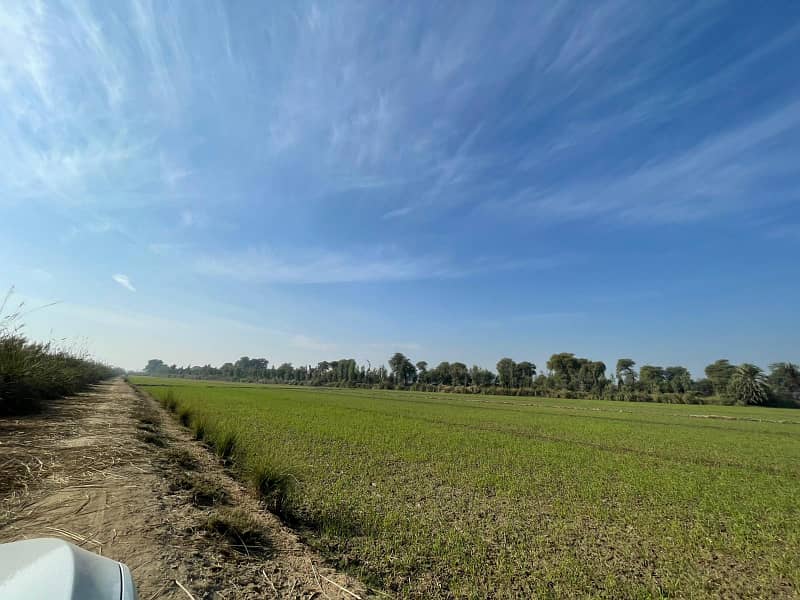 400 Kanal Agricultural Land Available For Sale In Haroonabad Bahawalnagar Road 7