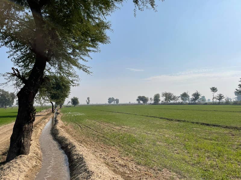 400 Kanal Agricultural Land Available For Sale In Haroonabad Bahawalnagar Road 8