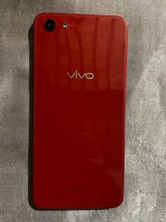 vivo