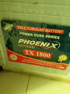 Tubular Batteries