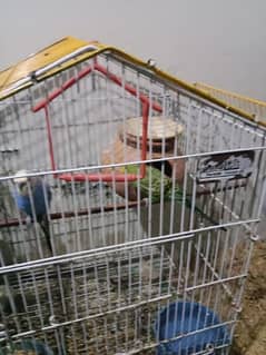 cages for sale