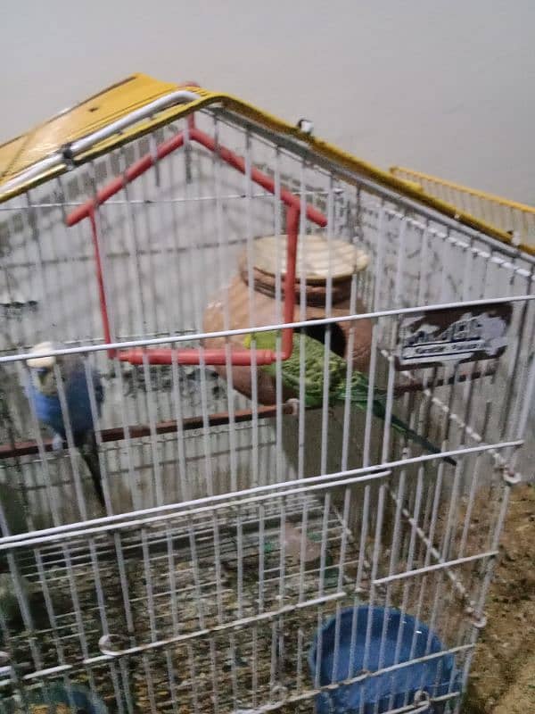 cages for sale 0