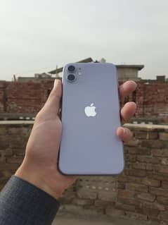 iPhone 11