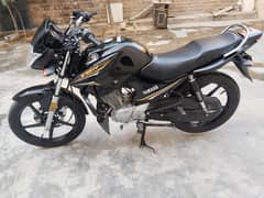 Yamaha YBR Urgent For Sale | Yamaha In Bikes | Total Geniune